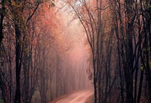 雷火体育：[综合]巴赫到访中央广播电视总台.