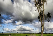 雷火体育：[综合]巴赫到访中央广播电视总台.